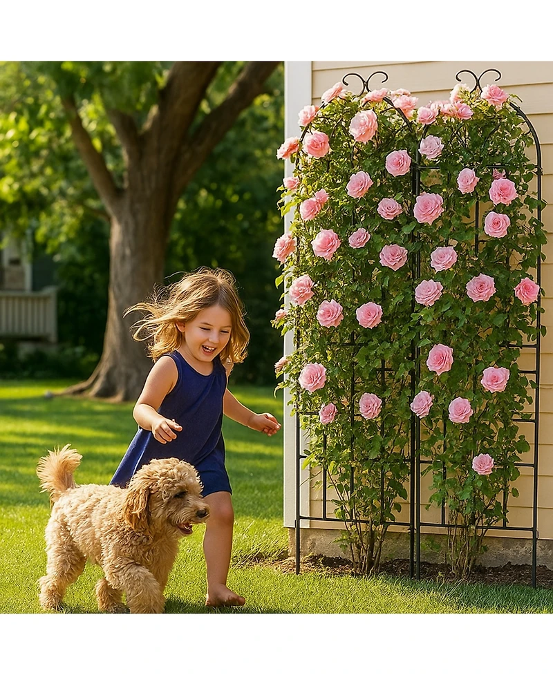 Streamdale Furniture Metal Garden Trellis 2-Pack for Climbing Plants