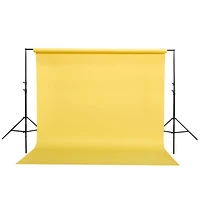 Savage Widetone Seamless Background Paper, 86" wide x 36' Focus Gray, #60 - Bundle With Flashpoint 10' Background Support System Air Cushioned,