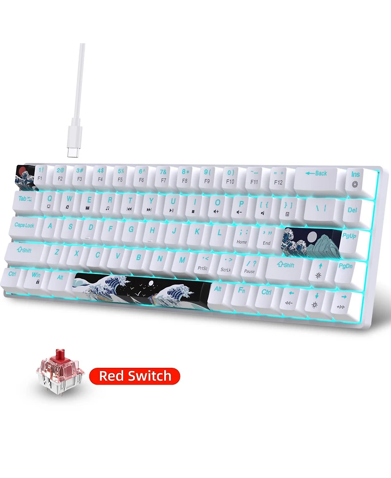 Risokeys 60% Mechanical Gaming Keyboard,61 Keys with Linear Blue Switches,Wired Mechanical Keyboard with Led Backlit,Compact Ergonomic Keyboard