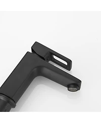 Greenspring Single Hole Single-Handle Bathroom Faucet with drain in Matte Black