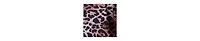 Fashion-szn Plus Leopard Print Mini Dress