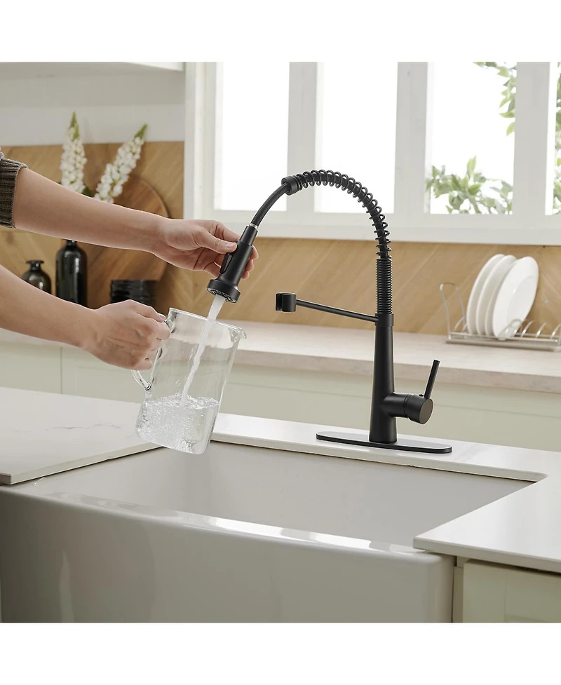 Greenspring Single-Handle Pull-Down Sprayer 2 Spray High Arc Kitchen Faucet With Deck Plate in Matte Black