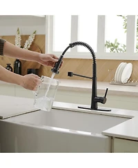 Greenspring Single-Handle Pull-Down Sprayer 2 Spray High Arc Kitchen Faucet With Deck Plate in Matte Black