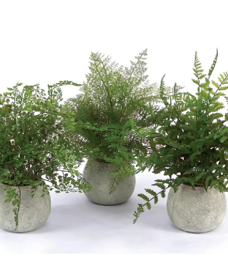 Set of 3 Potted Ferns-14 Inches High, Realistic Artificial Plastic Plants for Home and Office Decor