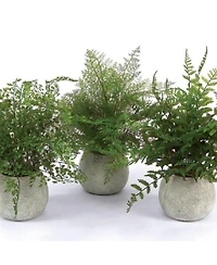 Set of 3 Potted Ferns-14 Inches High, Realistic Artificial Plastic Plants for Home and Office Decor