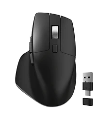 Delton S18 Wireless Mouse, 2.4G Ergonomic Mouse, 5 Noiseless Buttons (DMS18-wb)