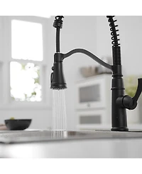 Greenspring Single-Handle Pull-Down Sprayer 3 Spray High Arc Kitchen Faucet With Deck Plate in Matte Black