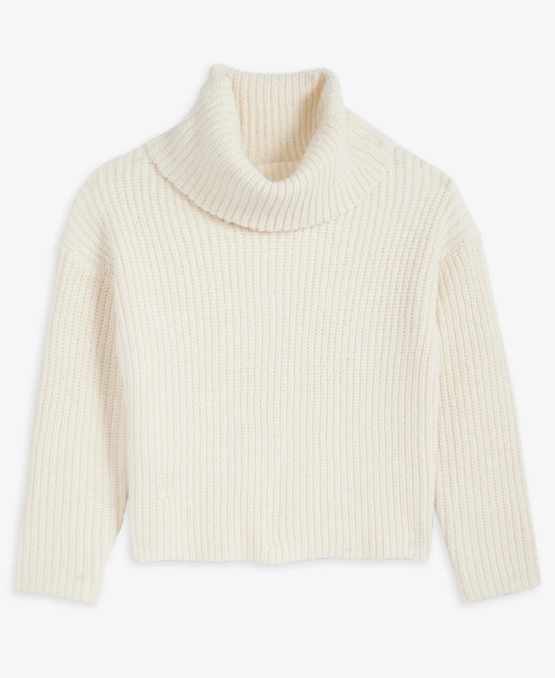 I.n.c. International Concepts Women's Chunky Turtleneck Sweater, Macy's Exclusive