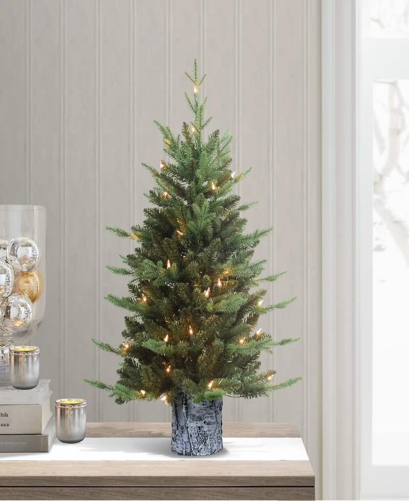 Puleo Pre-Lit Potted Artificial Christmas Tree with 50 Lights, 3'