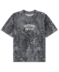 abercrombie kids Little and Big Boys Arch Embroidery Tee