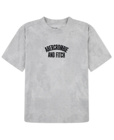 abercrombie kids Little and Big Boys Arch Embroidery Tee