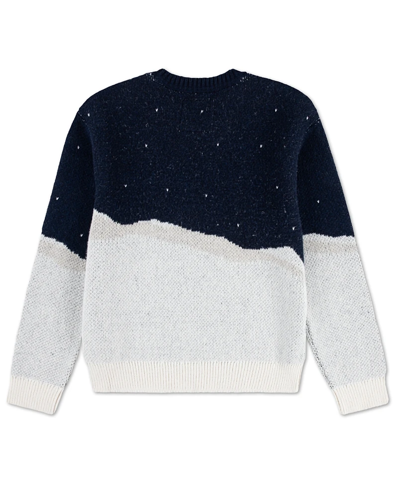 abercrombie kids Little and Big Boys Moose Crew Sweater