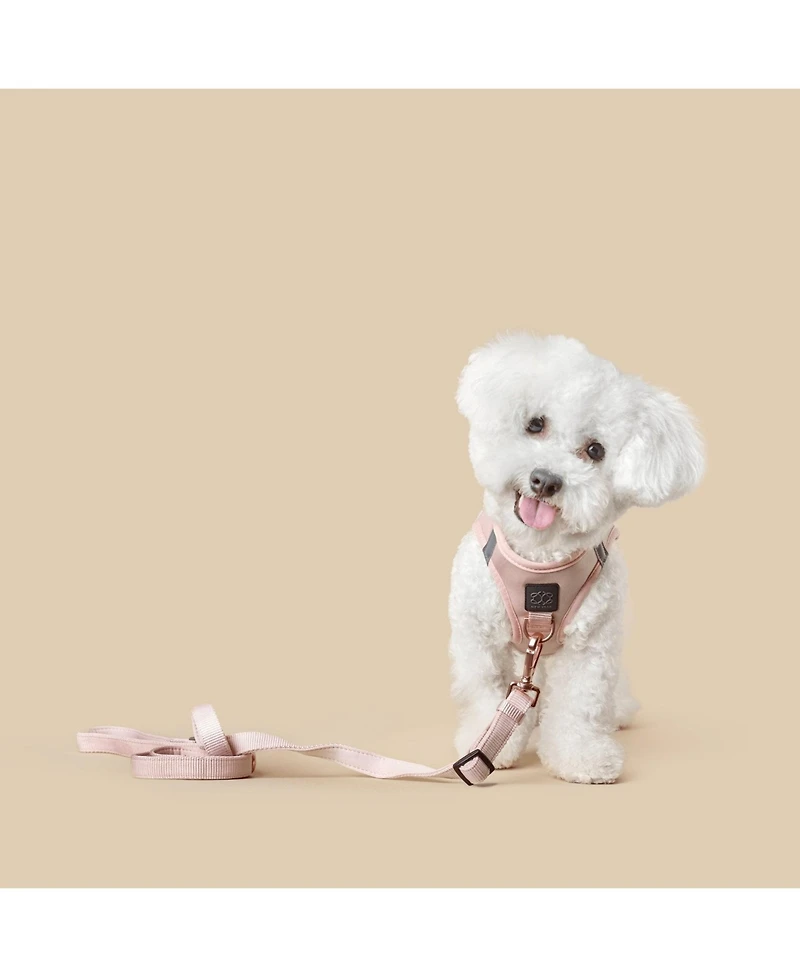 Dogistry City Dog Leash