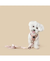 Dogistry City Dog Leash