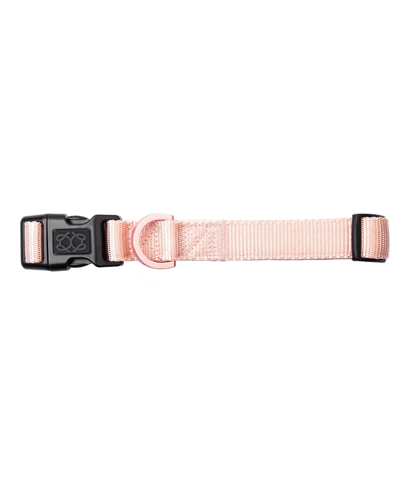 Dogistry City Collar