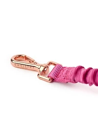 Dogistry 3-in-1 City Dog Leash