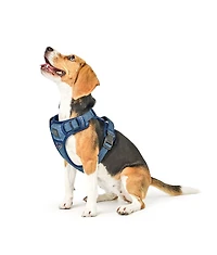 Dogistry The NoMad Adjustable Luxe Harness