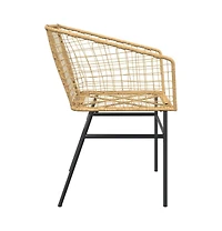 Garden Chair Brown Pe rattan, powder-coated steel Standard