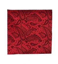 Trafalgar Men's Banbury Tone on Tone Paisley 12 Inch Silk Pocket Square