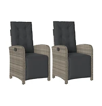 vidaXL Reclining Garden Chair Set of 2 Grey, Dark Grey Pe Rattan Medium
