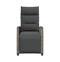 vidaXL Reclining Garden Chair Grey Pe rattan, powder-coated steel Medium