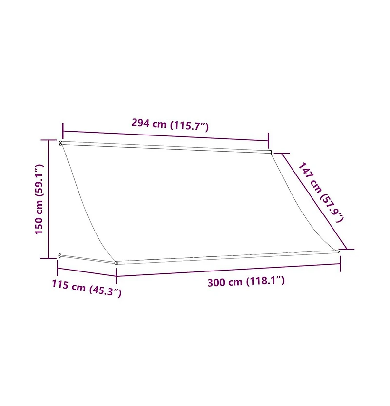 vidaXL Retractable Awning Anthracite Steel 118.1 x 59.1 in Retractable
