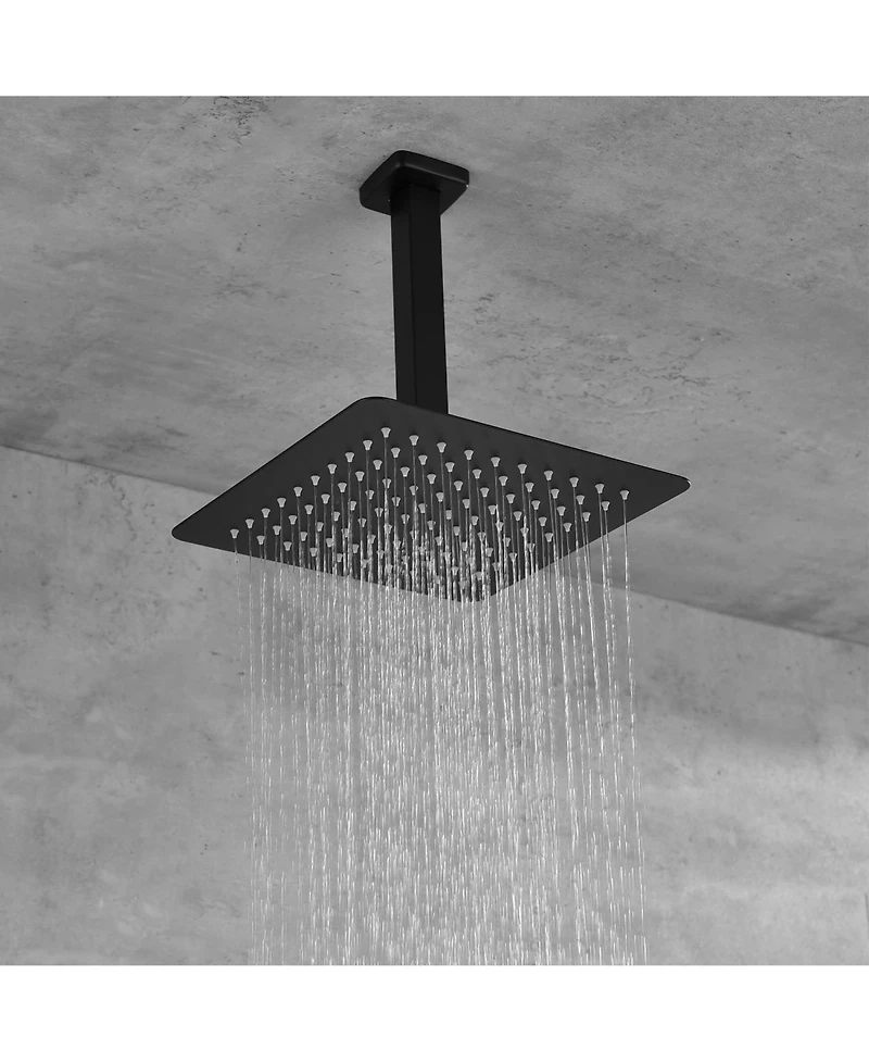 Rainsken 16" Shower Head System Ceiling Mounted Shower with Rain Shower Head, Hand Shower Head, Matte Black