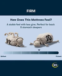 Serta Perfect Sleeper Cobra Lily 10.5" Firm Tight Top Mattress, Twin Xl