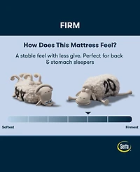 Serta Perfect Sleeper Iceland Poppy 12" Firm Tight Top Mattress, Twin
