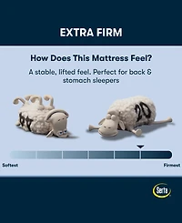 Serta Perfect Sleeper Osiria Rose 12" Extra Firm Tight Top Mattress, California King