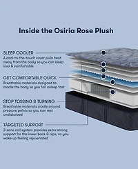 Serta Perfect Sleeper Osiria Rose 13" Plush Tight Top Mattress, Full
