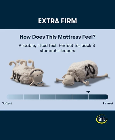 Serta Perfect Sleeper Osiria Rose 12" Extra Firm Tight Top Mattress Set, Queen