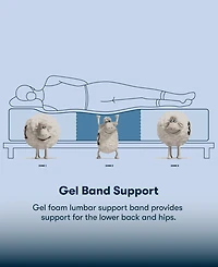 Serta Perfect Sleeper Cobra Lily 10.5" Plush Tight Top Mattress Set, Twin Xl