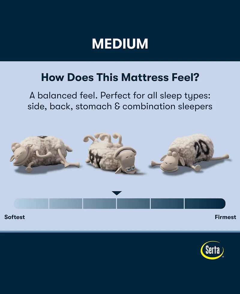 Serta Perfect Sleeper Iceland Poppy 13.5" Medium Tight Top Mattress Set, Queen