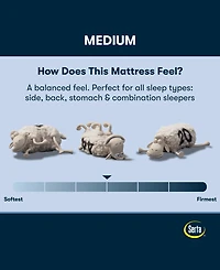 Serta Perfect Sleeper Iceland Poppy 13.5" Medium Tight Top Mattress Set, Queen