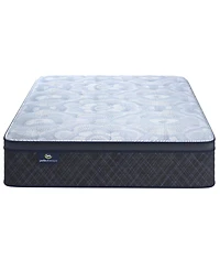 Serta Perfect Sleeper Iceland Poppy 14" Plush Pillow Top Mattress Set, Twin