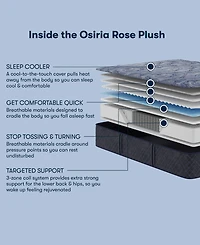 Serta Perfect Sleeper Osiria Rose 13" Plush Tight Top Mattress Set, Twin