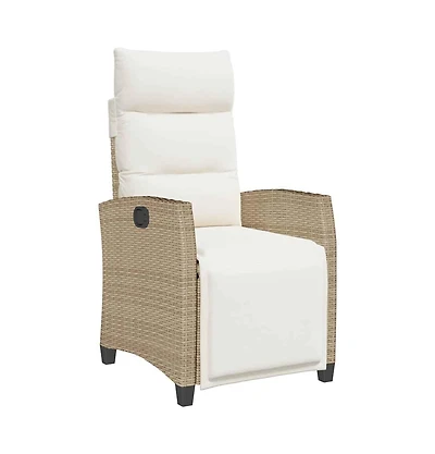 vidaXL Reclining Patio Chair Foldable Reclining Garden Chair Rectangular