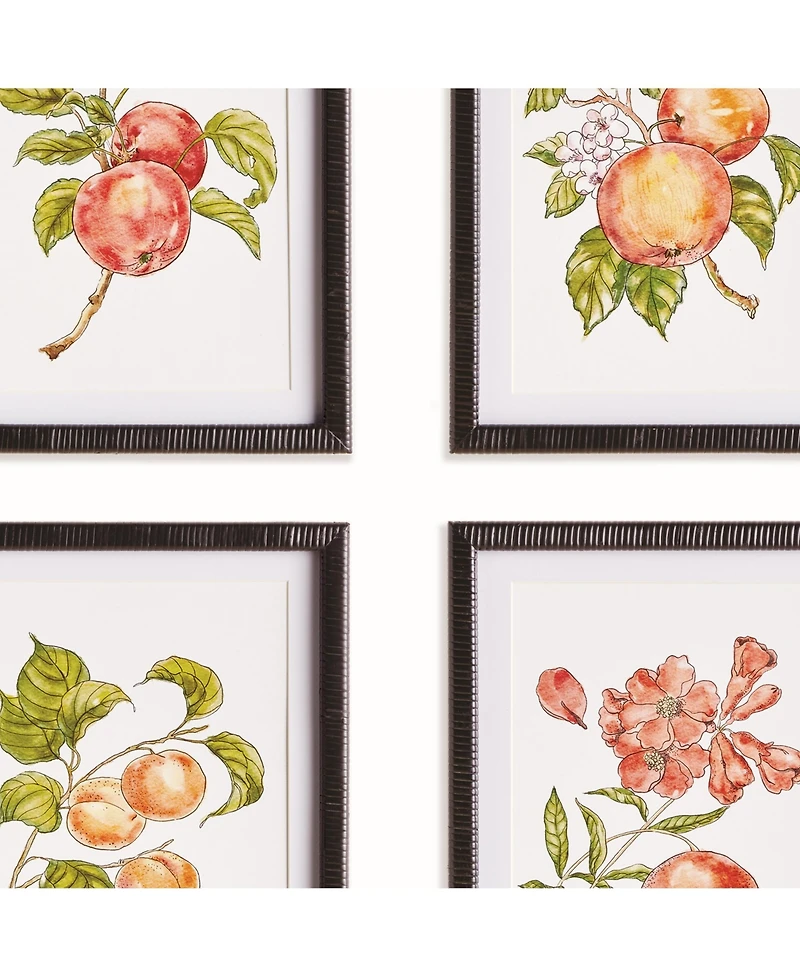 Autumnal Fruit Prints, Set of 4 - Pink/Orange - Fir Wood