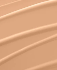 Renergie Lift Makeup Foundation Spf 27