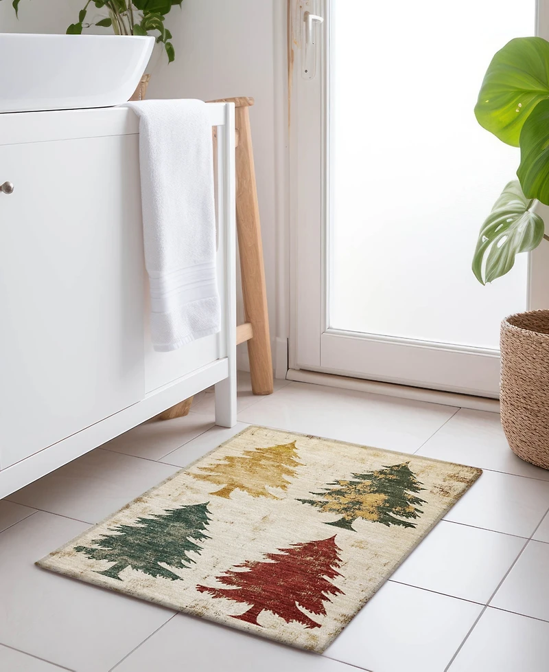 Addison Holiday Washable Indoor/Outdoor ACN1811 1'8"x2'6" Area Rug