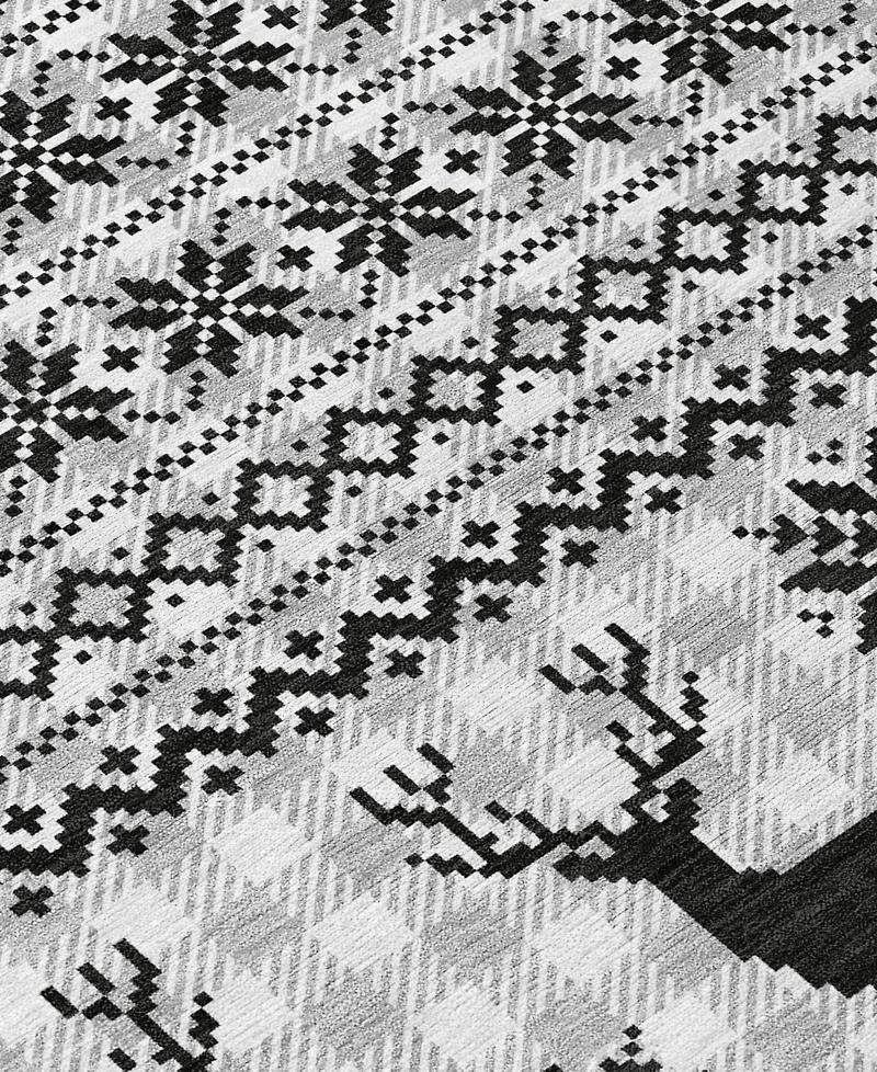 Addison Holiday Washable Indoor/Outdoor ACN1820 2'6"x3'10" Area Rug