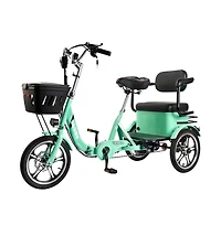Artudatech 400W 48V 12A Elder Electric folding trike 3 wheel e-bike with Rear Seat