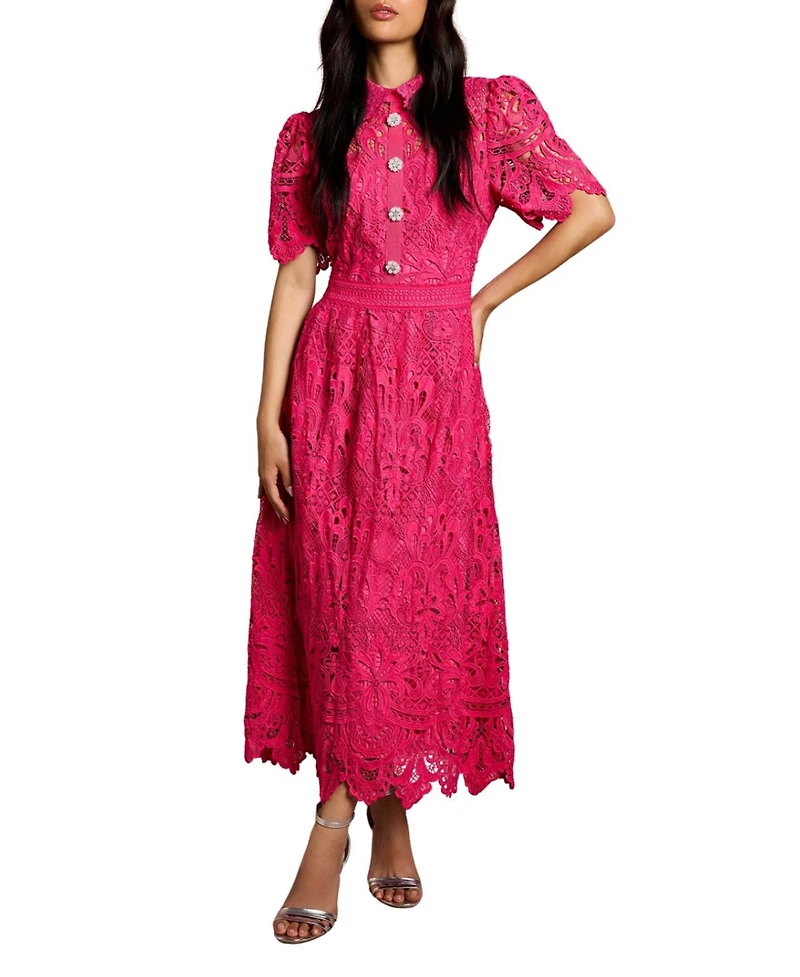 Coast Women's Short Sleeve Collared Lace Midi Dress