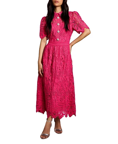 Coast Women's Short Sleeve Collared Lace Midi Dress