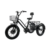 Artudatech 500W 48V 13A Electric Snow Tricycle 3 wheel e-bike 4.0 Fat Tire Tricycle