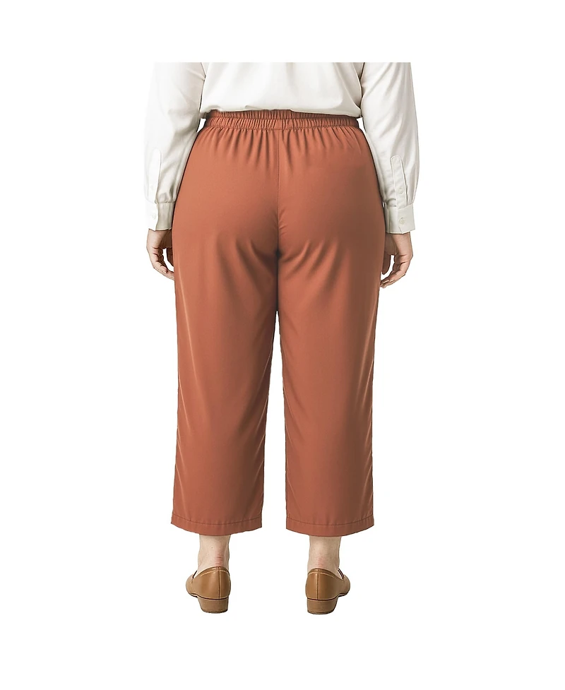 Standards & Practices Plus High Waist Wide Leg Pull-On Pants
