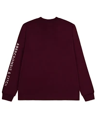 abercrombie kids Boys 5-16 Mountain Range Long-Sleeve T-Shirt