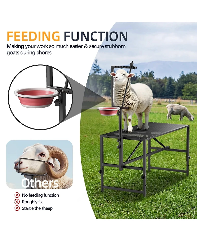 600 lbs Capacity Adjustable Goat Trimming Stand with Headpiece and Feed Bin – Foldable Grooming and Milking Platform