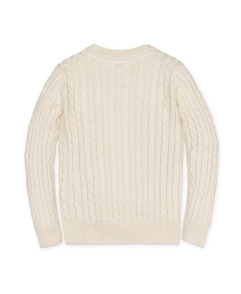 Hope & Henry Boys Organic Long Sleeve V-Neck Cable Sweater